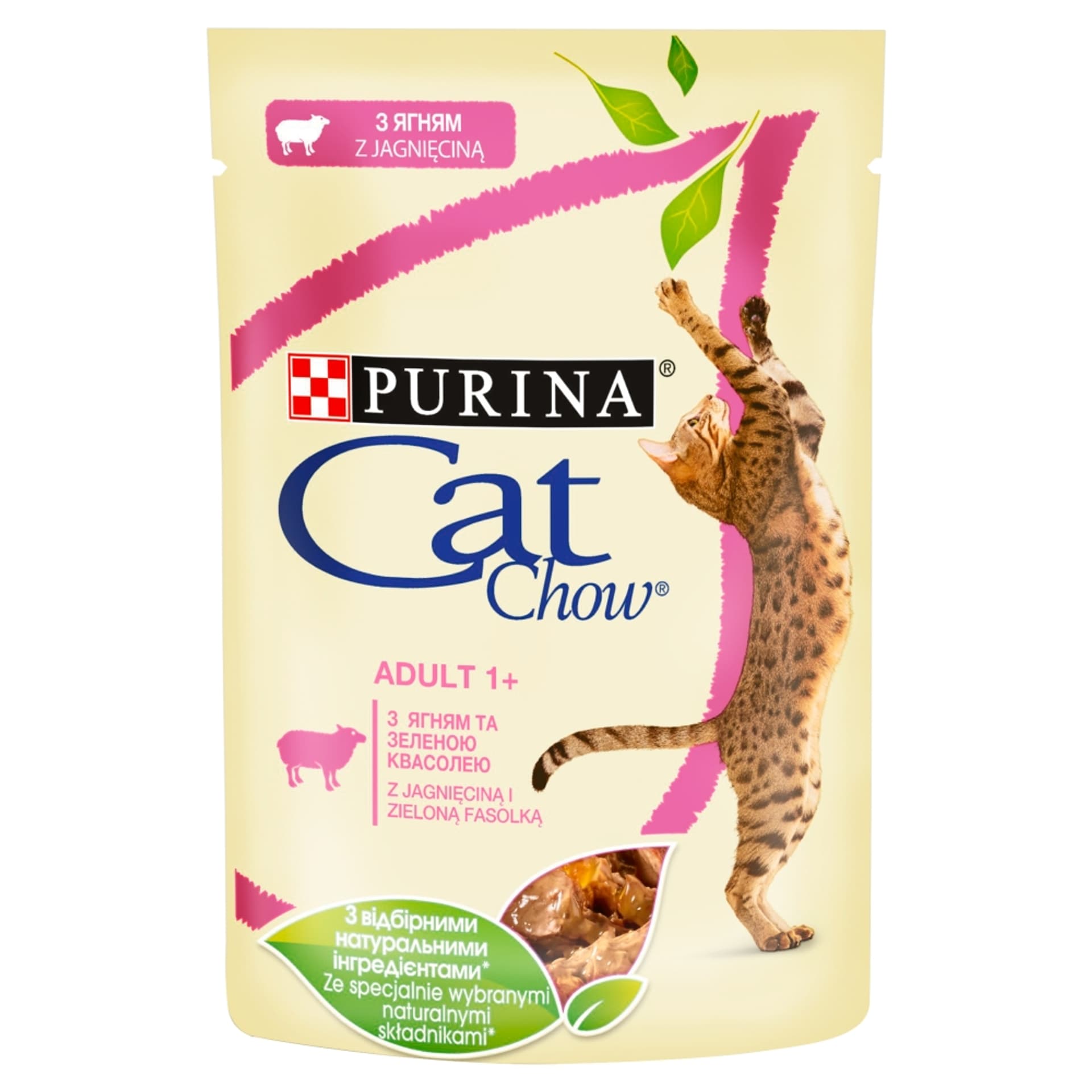 

PURINA CAT CHOW mokra karma dla kota z jagnięciną i zieloną fasolką - saszetka 85g