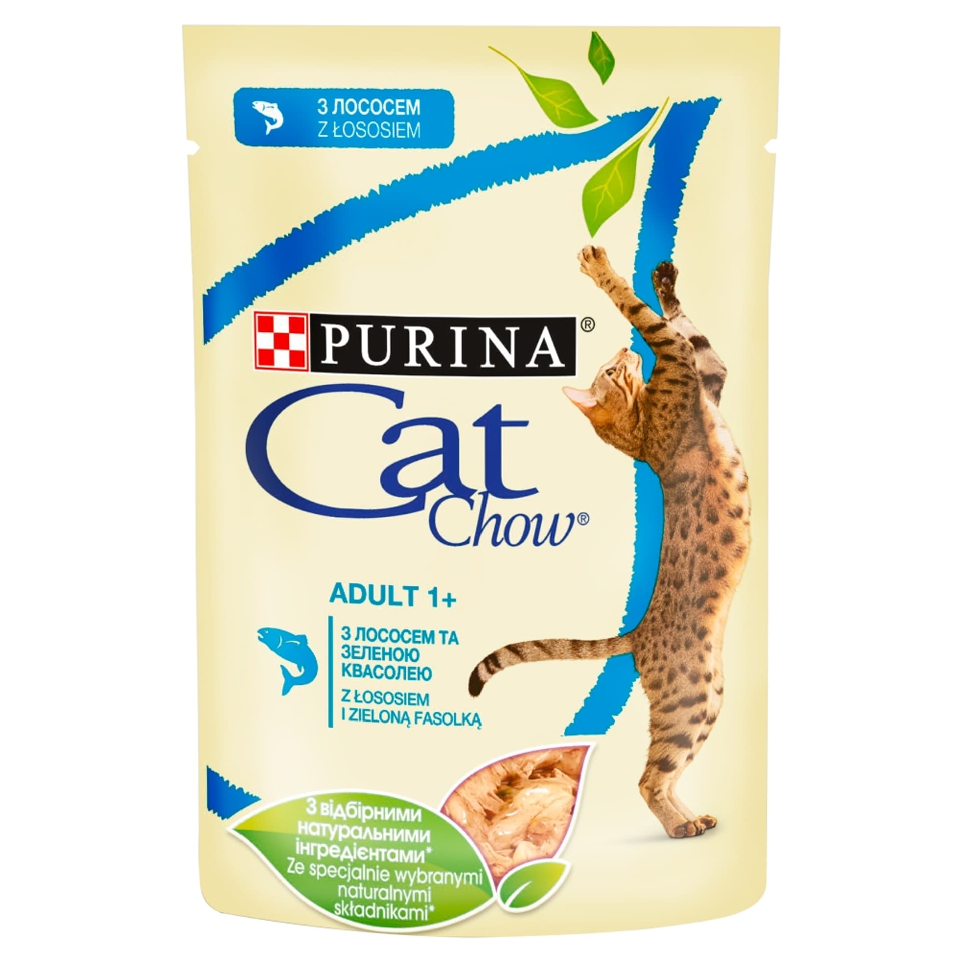 

Purina Cat Chow z łososiem i zieloną fasolką w galaretce 85g