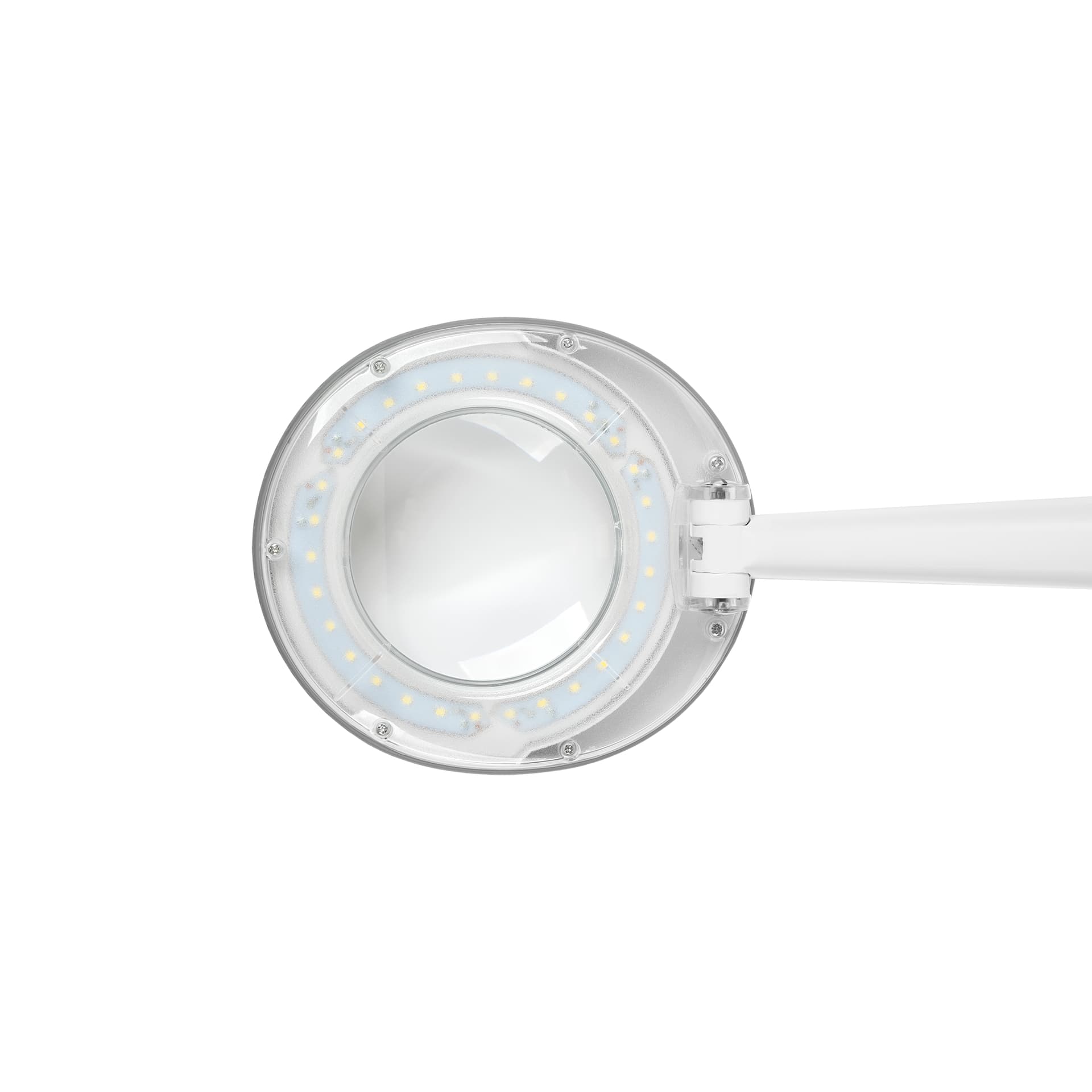 

Lampa z lupą na stół 5D 6W Rebel , 6500K