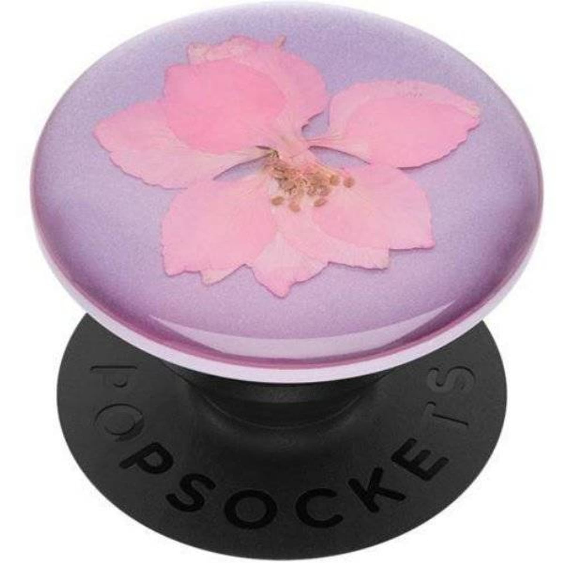 

POPSOCKETS Uchwyt do telefonu Premium Pressed Flower Delphinium Pink