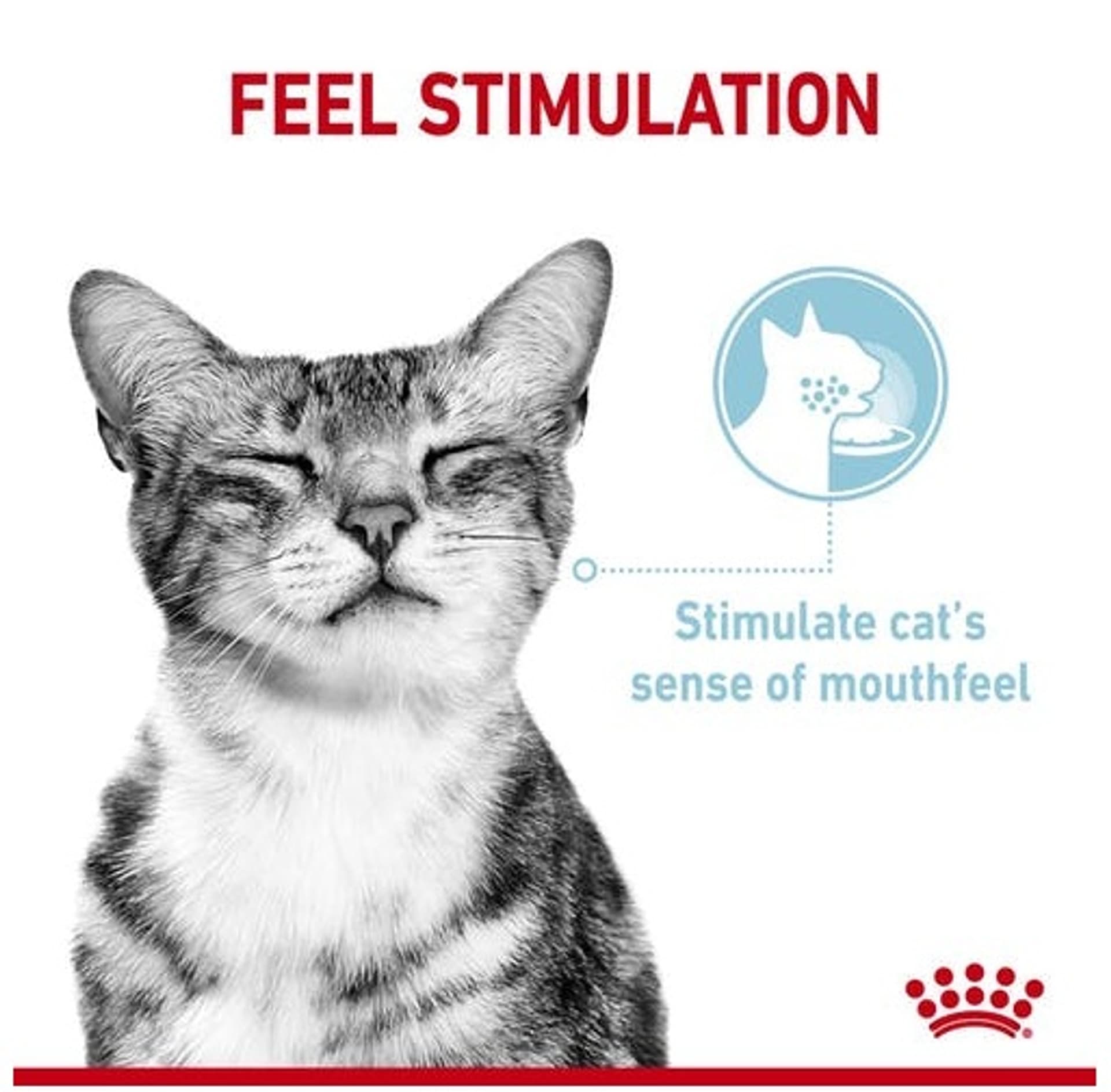 

Royal Canin Sensory Feel w sosie karma mokra dla kotów dorosłych saszetka 85g