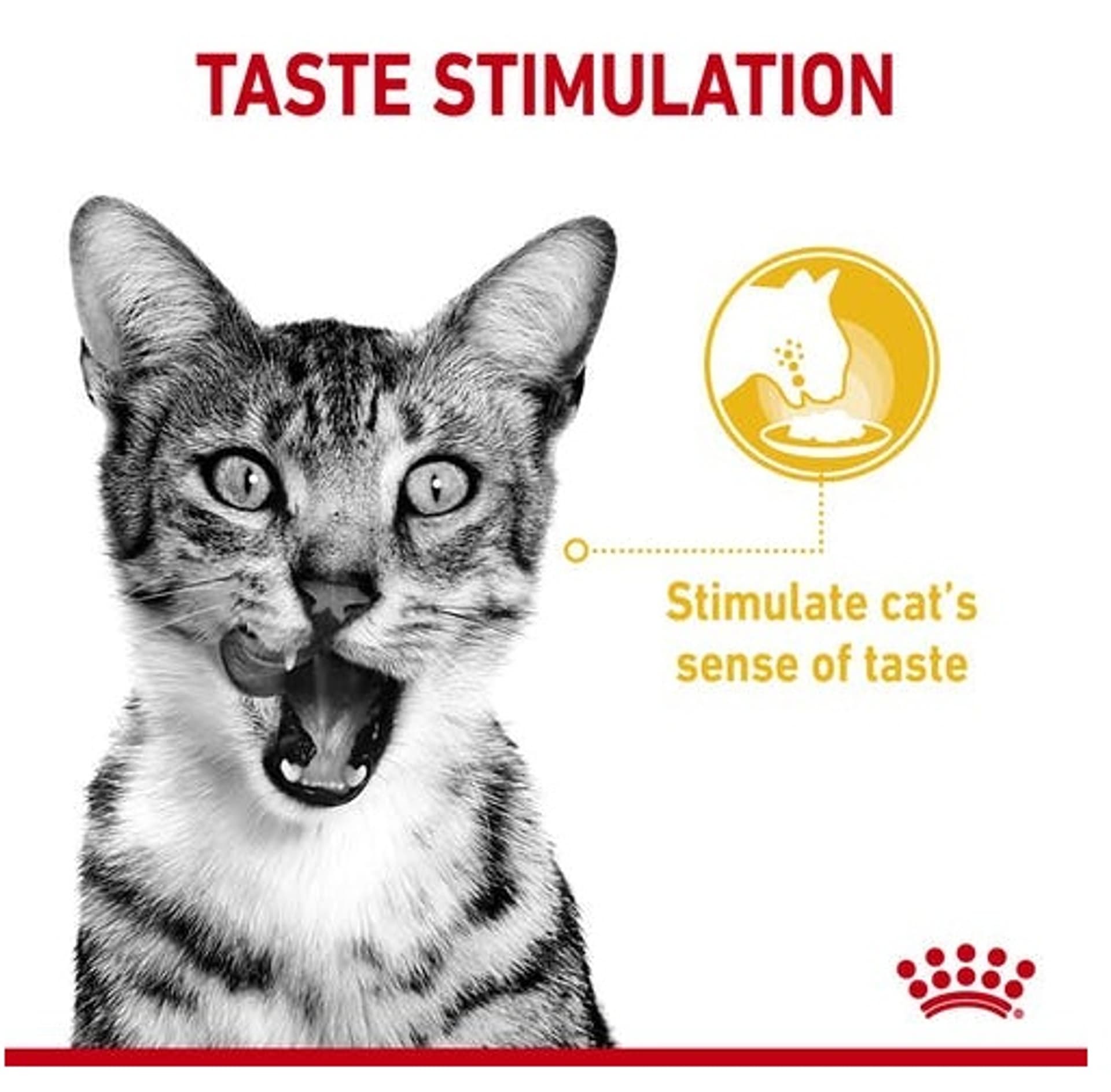 

Royal Canin Sensory Taste w sosie karma mokra dla kotów dorosłych saszetka 85g