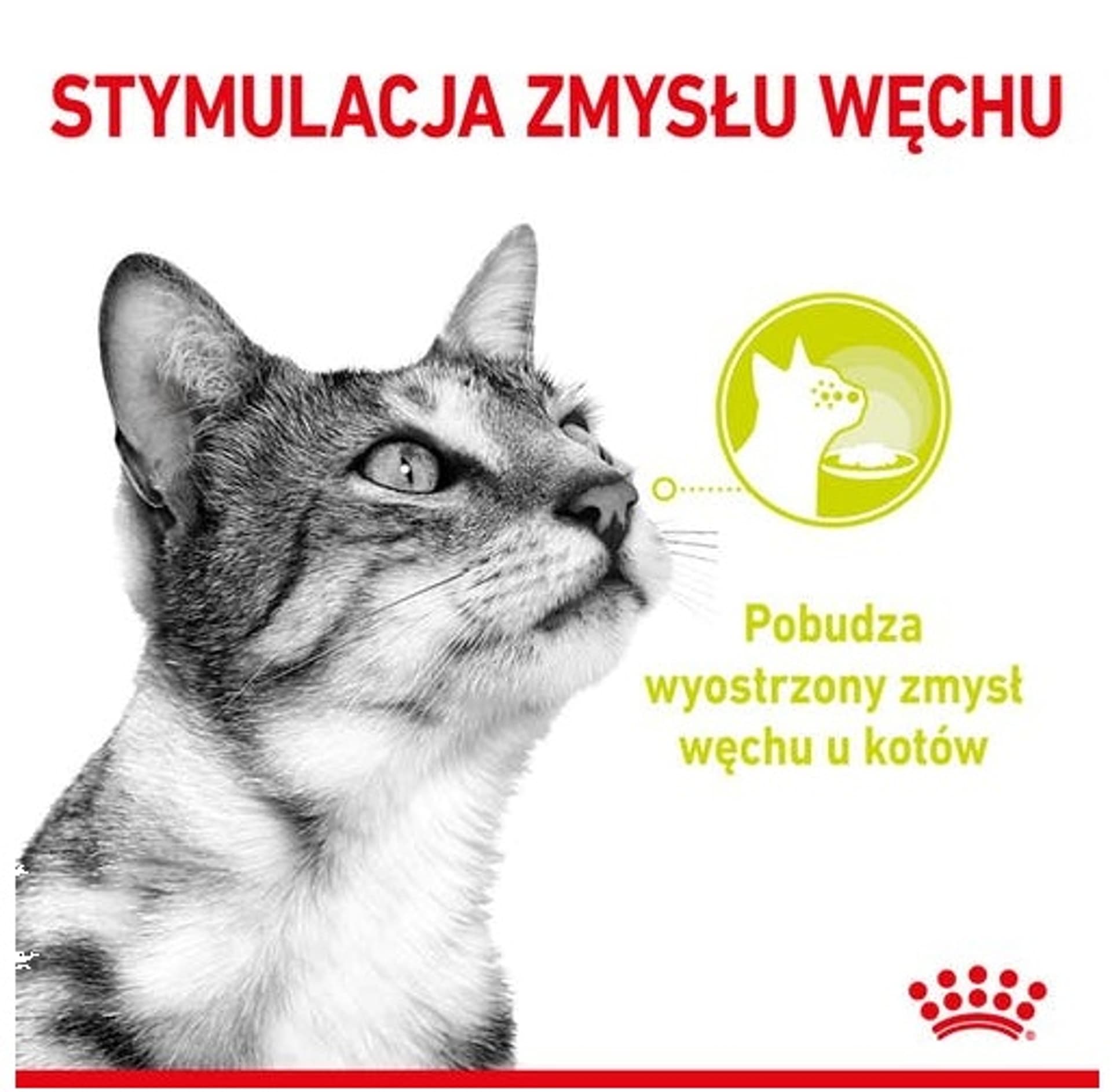

Royal Canin Sensory Smell w sosie karma mokra dla kotów dorosłych saszetka 85g