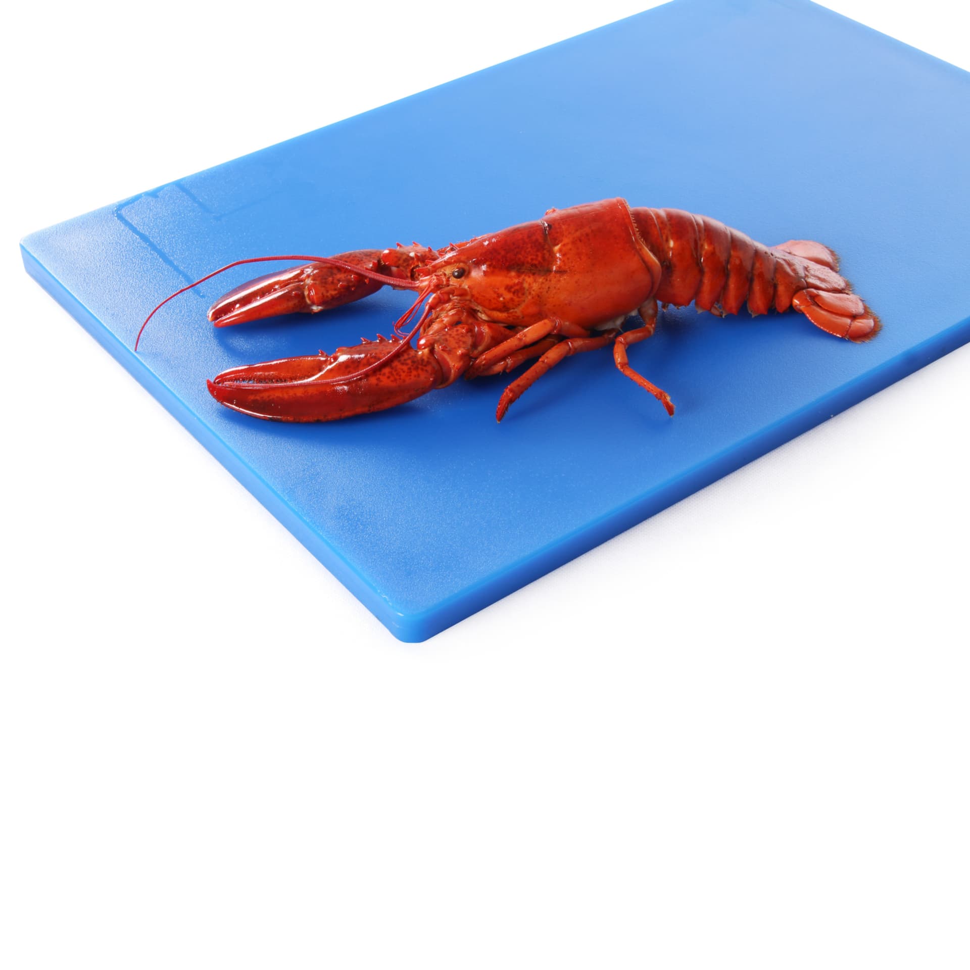 

Deska do krojenia HACCP do ryb 600x400mm niebieska - Hendi 825624