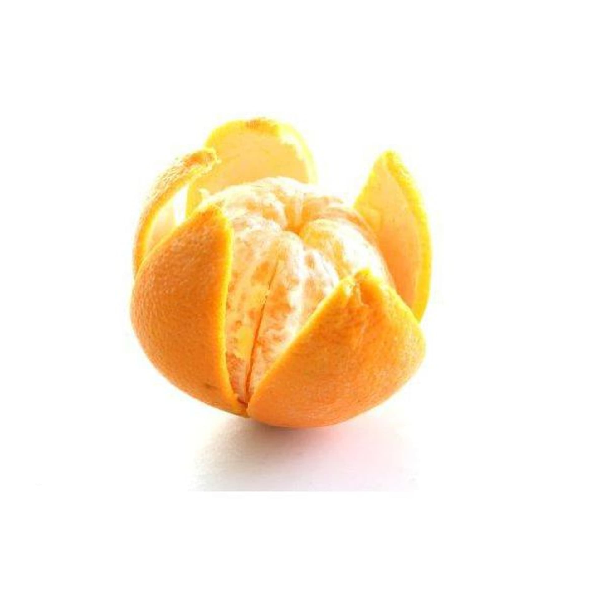 

Nóż do obierania cytrusów ze stali nierdzewnej - Hendi 856055