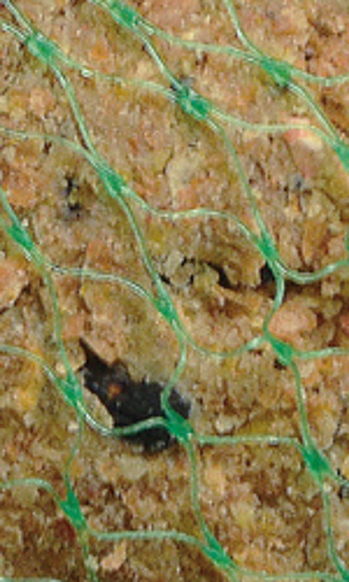 

CERTECH Kule zimowe 90g - tacka 6 szt.