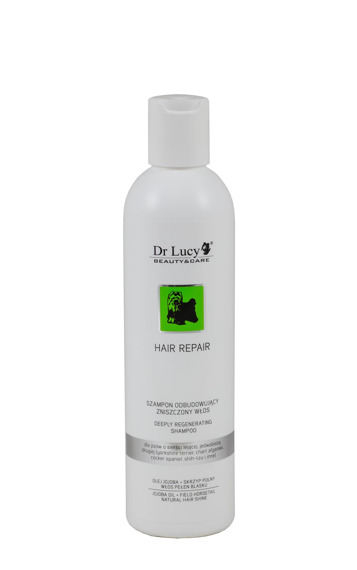 

DR LUCY Szampon odbudowujący zniszczony włos [HAIR REPAIR Z] 250ml