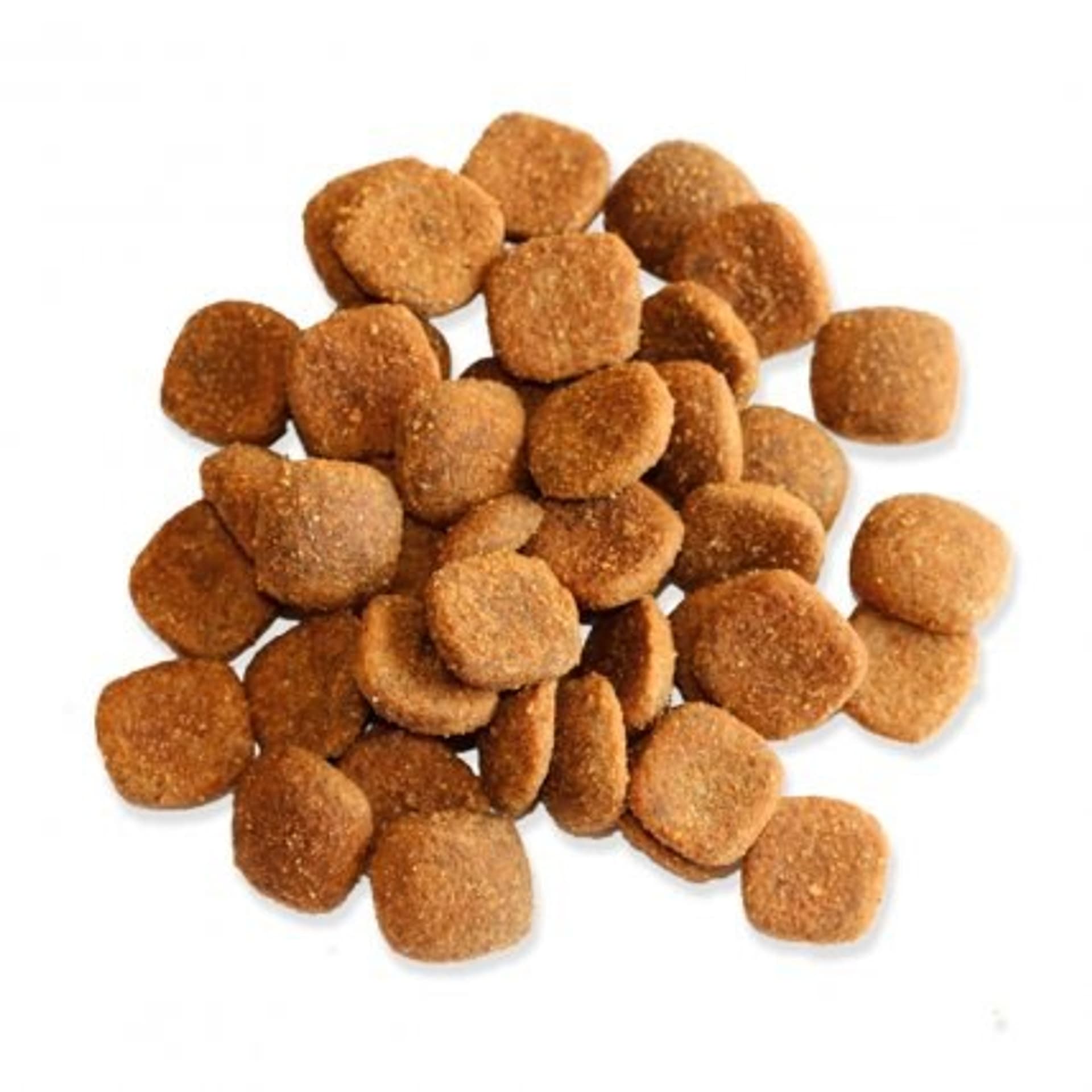 

Karma FITMIN For Life Adult Large Lreed (3 kg )