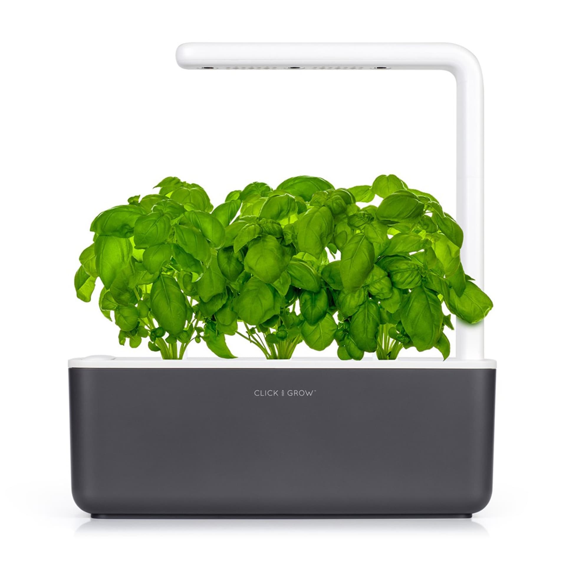 

Click&Grow Inteligentna doniczka Smart Garden 3 Dark Grey
