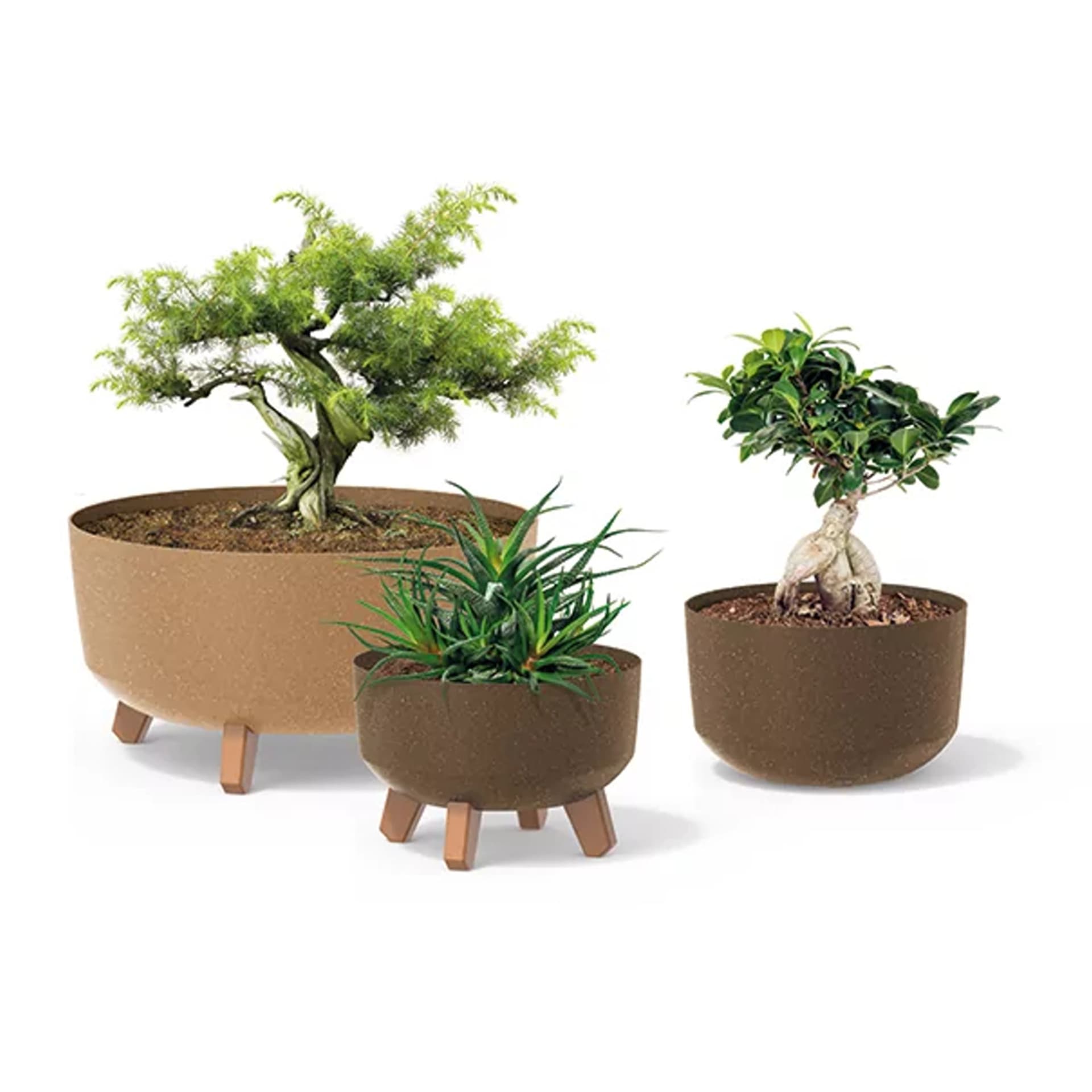 

Doniczka Gracia Low Eco Wood DGRL240LW kawa eco
