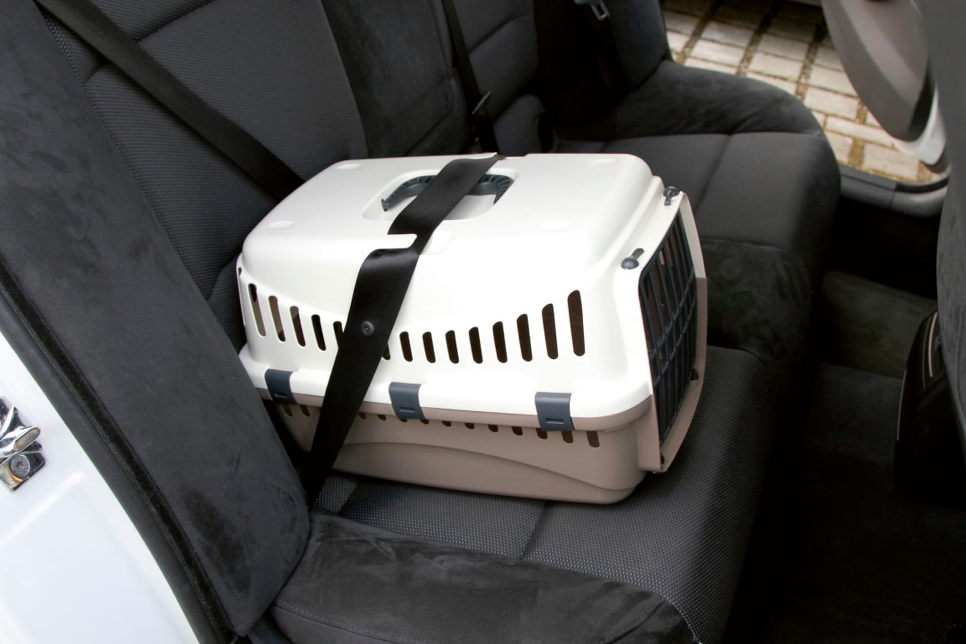 

KERBL Klatka transportowa Expedion 1, zielona/ciemnoszara 10 kg [81347]