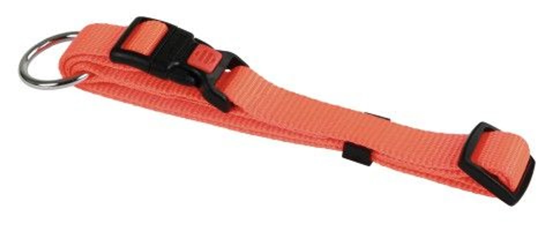

KERBL Obroża dla psa Miami 30-45cm x 15mm, pomarańczowa [82063]