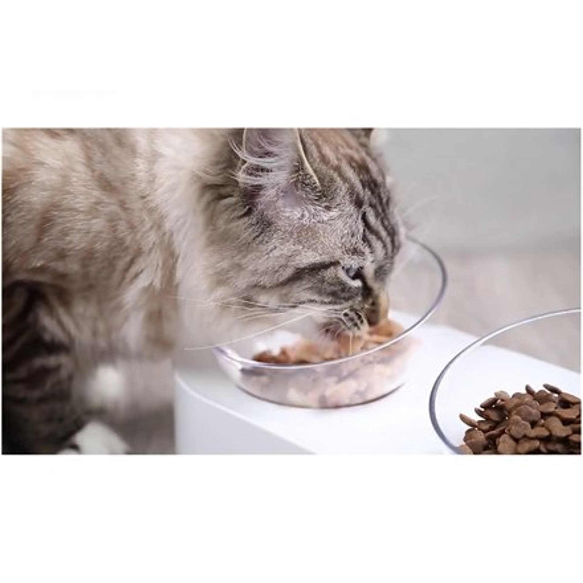 

PETKIT Miska Fresh Nano Double Pojemność 0,48 L, Materiał ABS, Biały