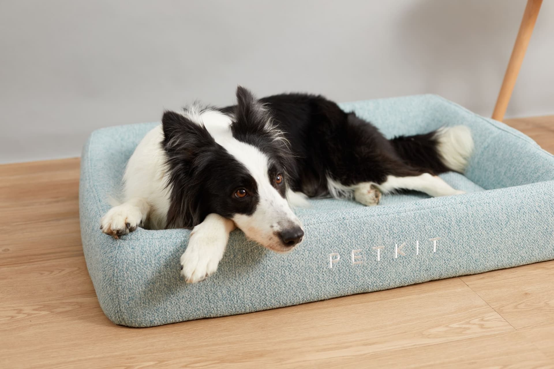 

PETKIT Deep Sleep All Season Pet Bed M Green