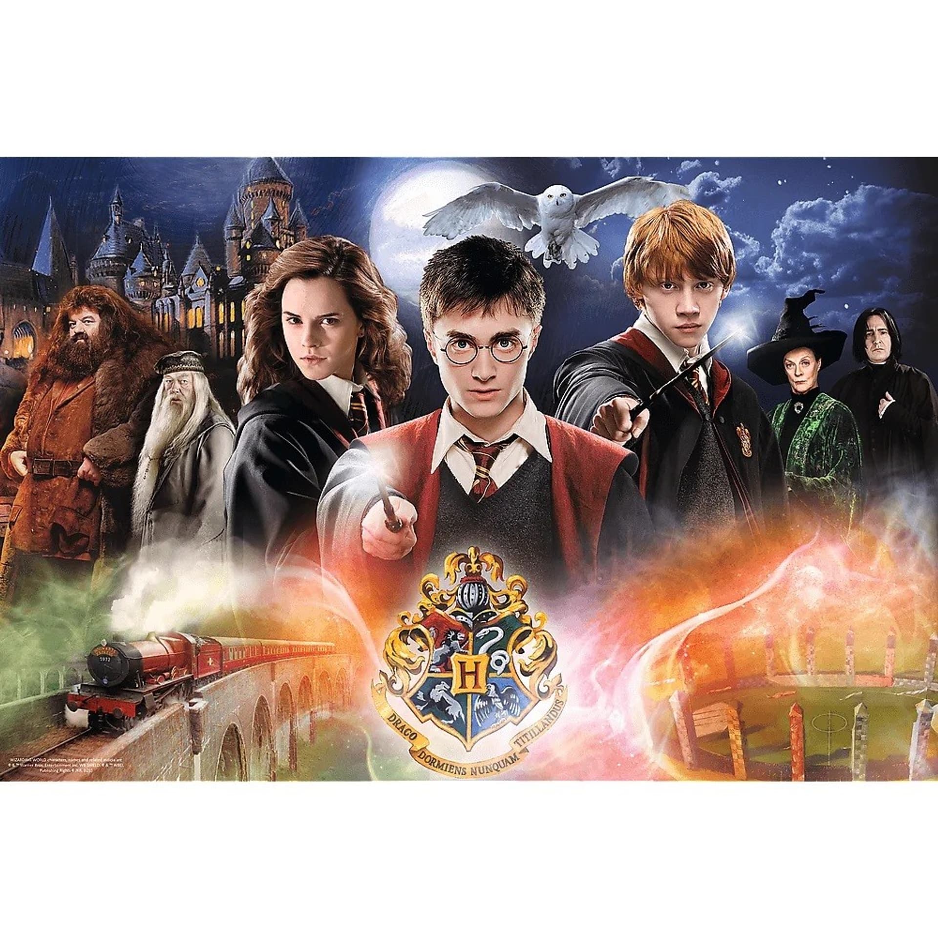 

Puzzle 300 elementów Tajemniczy Harry Potter