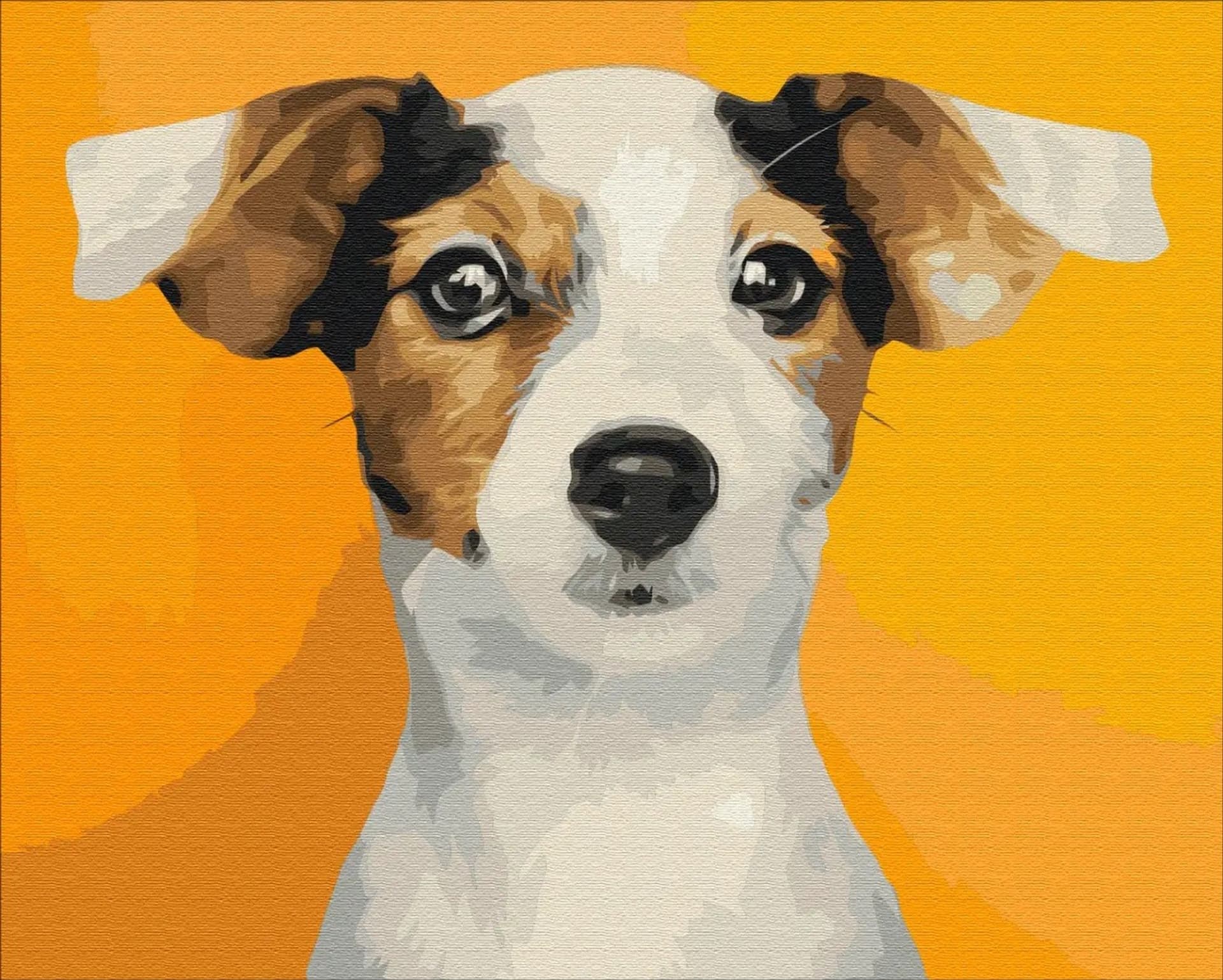 

Obraz Malowanie po numerach - Portret pupila