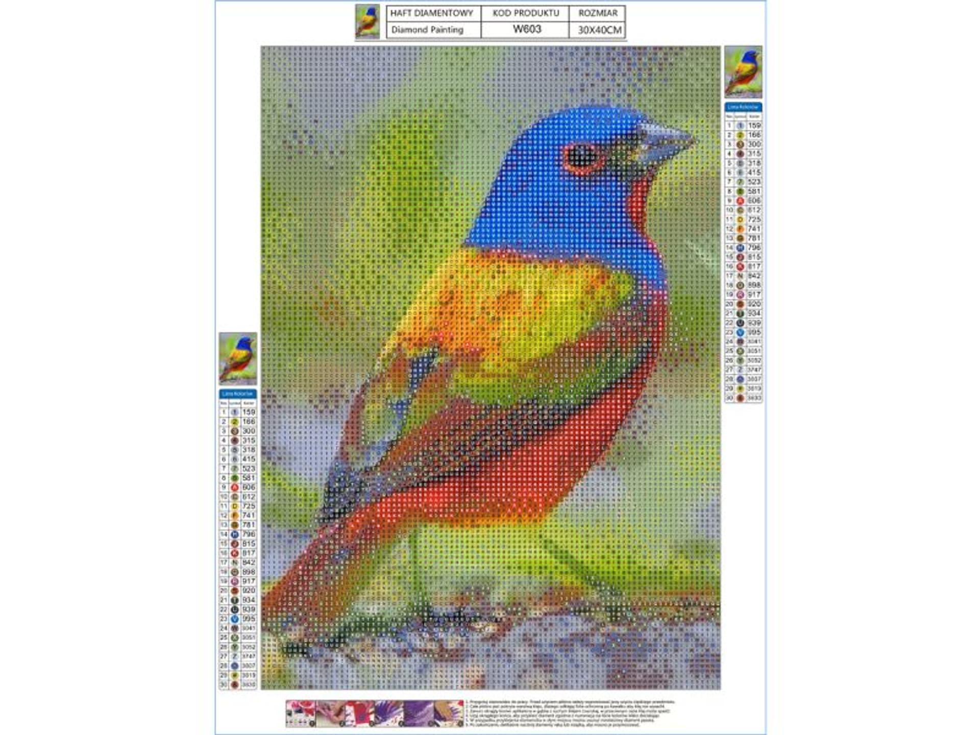 

Haft Diamentowy, Obraz, Mozaika Diamentowa Diamond Painting, KOLOROWY PTAK 30x40cm