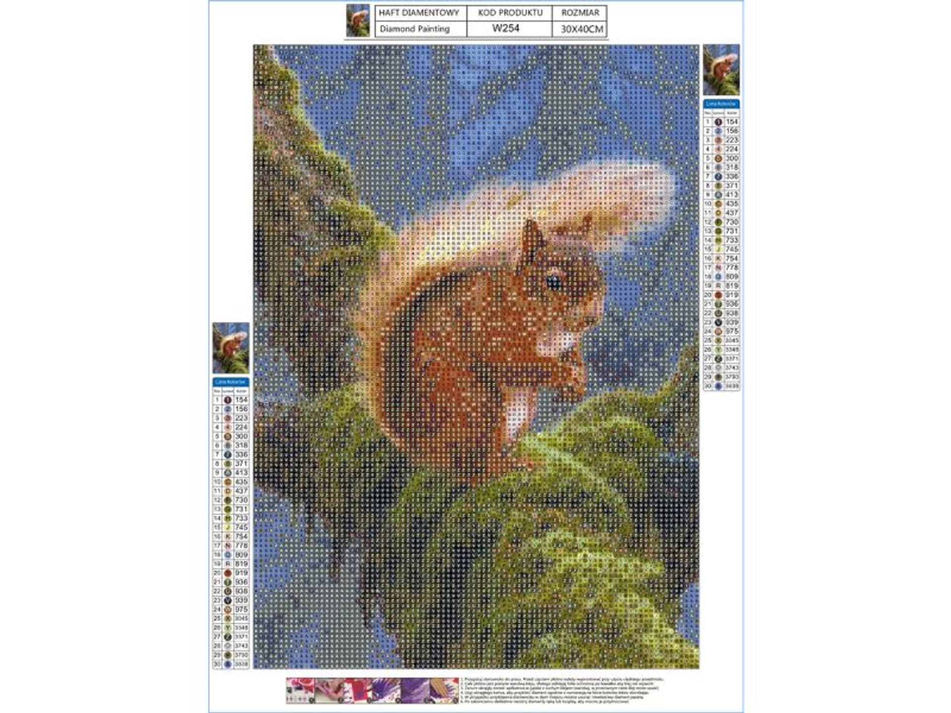 

Haft Diamentowy, Obraz, Mozaika Diamentowa Diamond Painting, WIEWIÓRKA 30x40cm