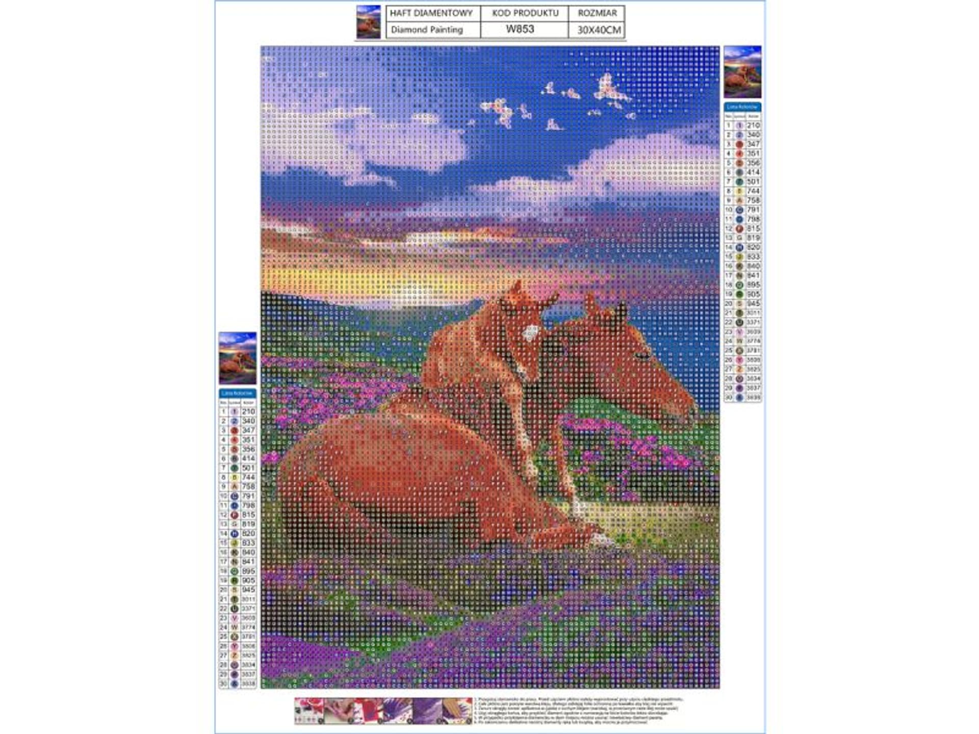 

Haft Diamentowy, Obraz, Mozaika Diamentowa Diamond Painting, DWA KONIE - GÓRY 30x40cm