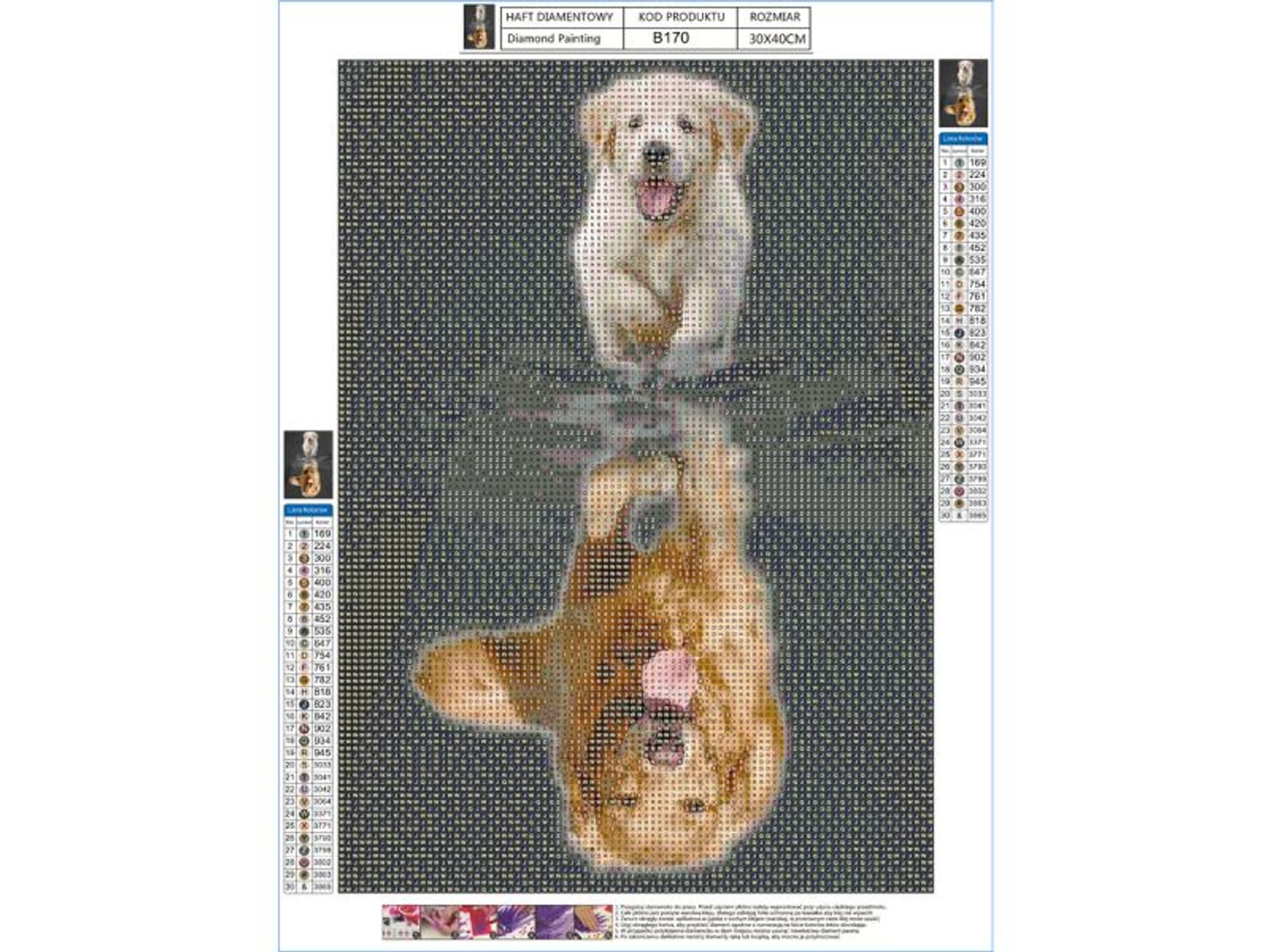 

Haft Diamentowy, Obraz, Mozaika Diamentowa Diamond Painting, ODBICIE LUSTRZANE - PIES 30x40cm