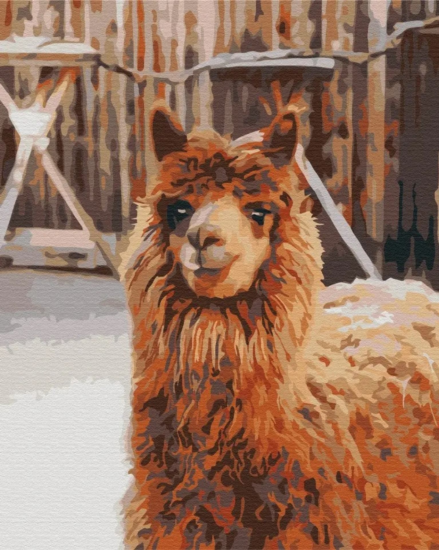

Obraz Malowanie po numerach - Lama na farmie