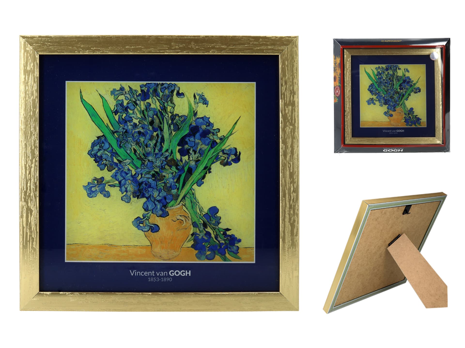 

Obrazek - V. van Gogh, Irysy (CARMANI)