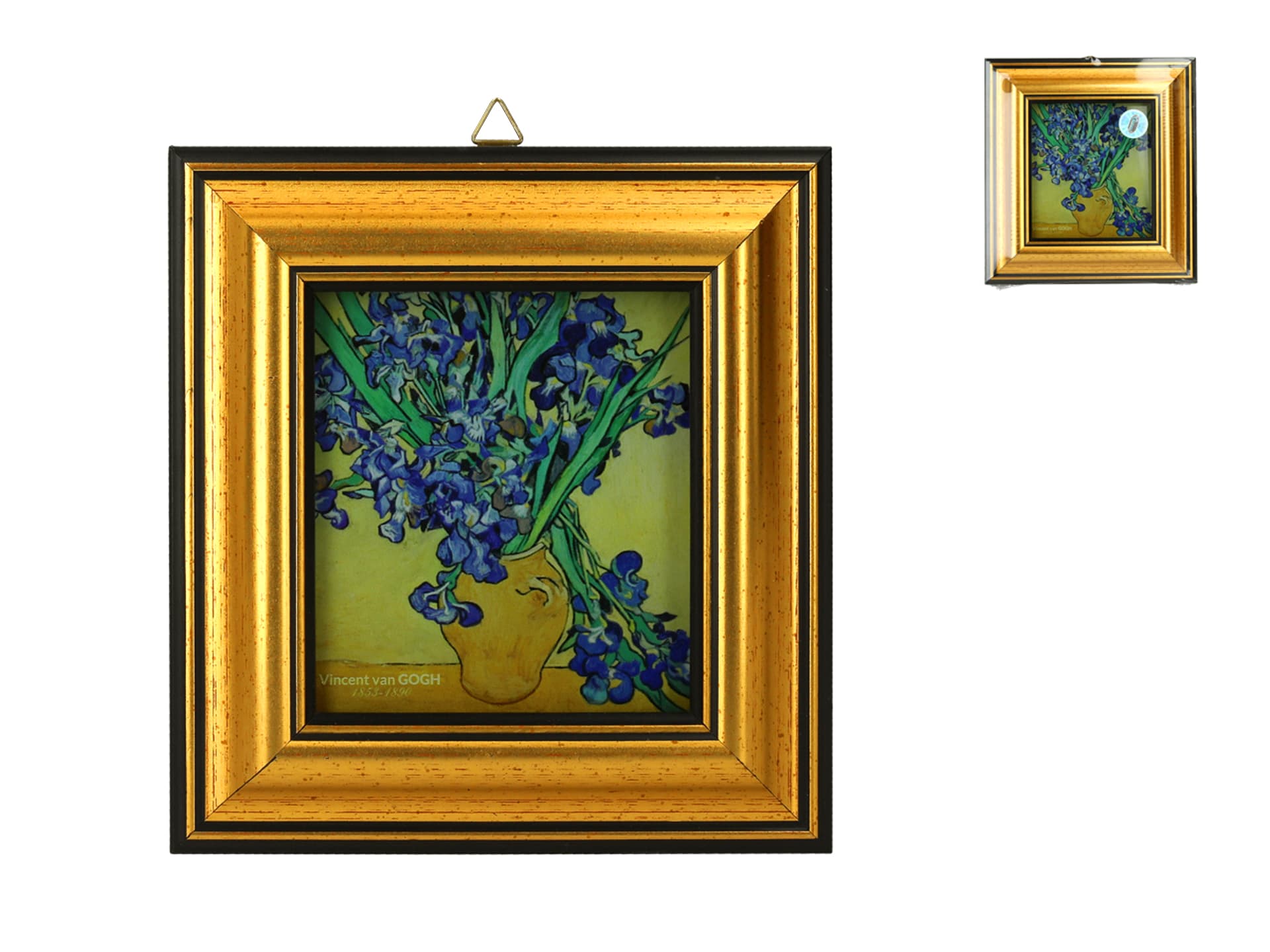 

Obrazek - V. van Gogh, Irysy (CARMANI)
