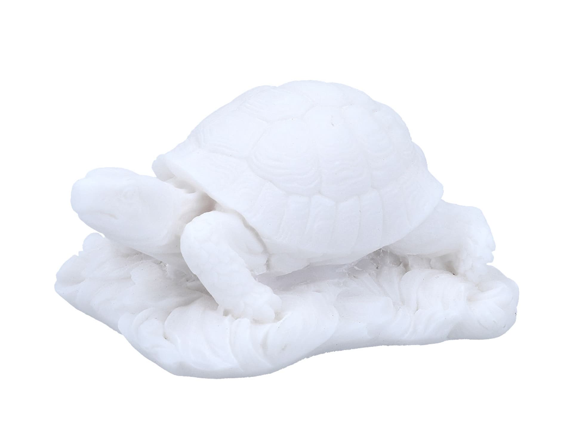 

Żółw