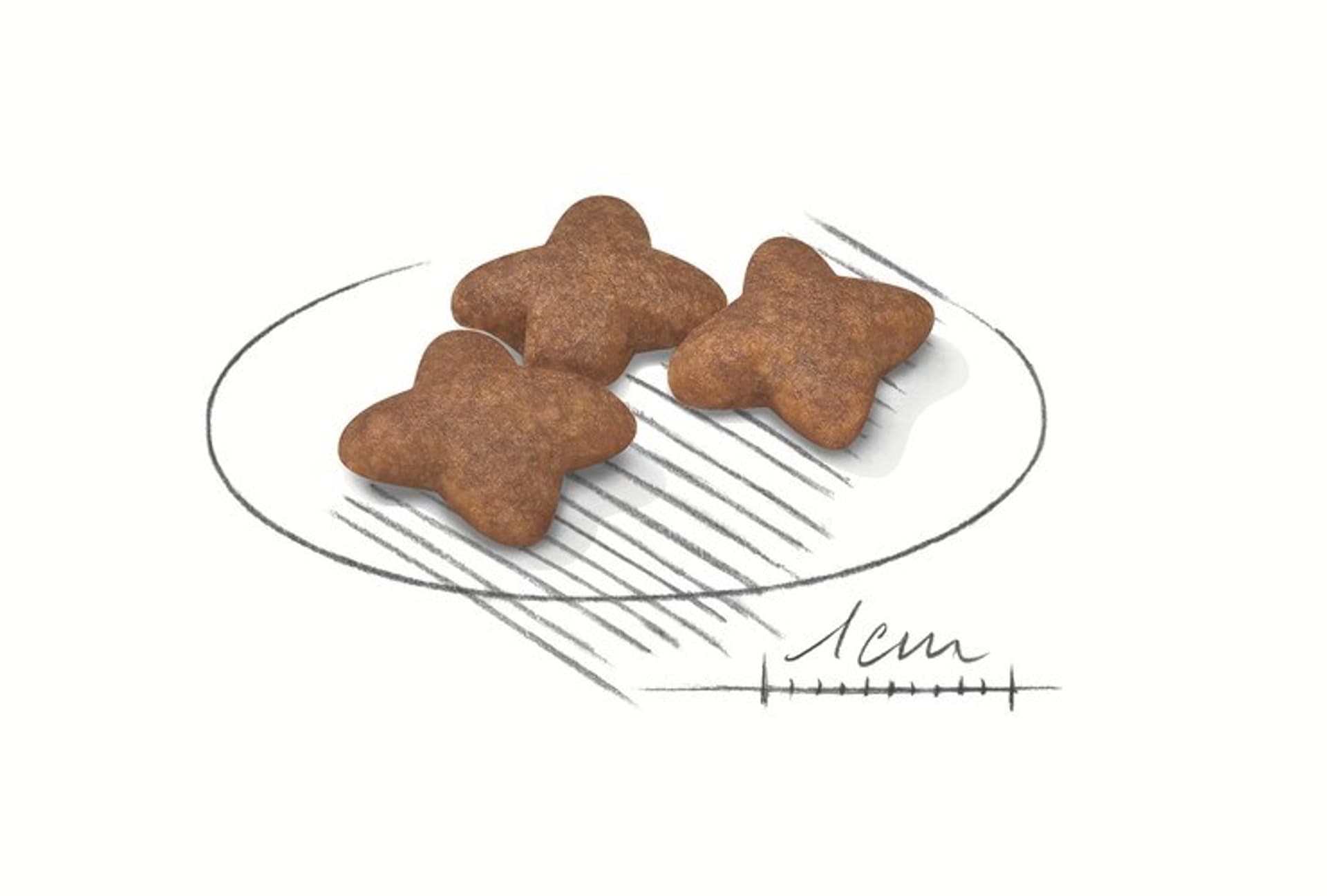 

Royal Canin Mini Adult 800 g