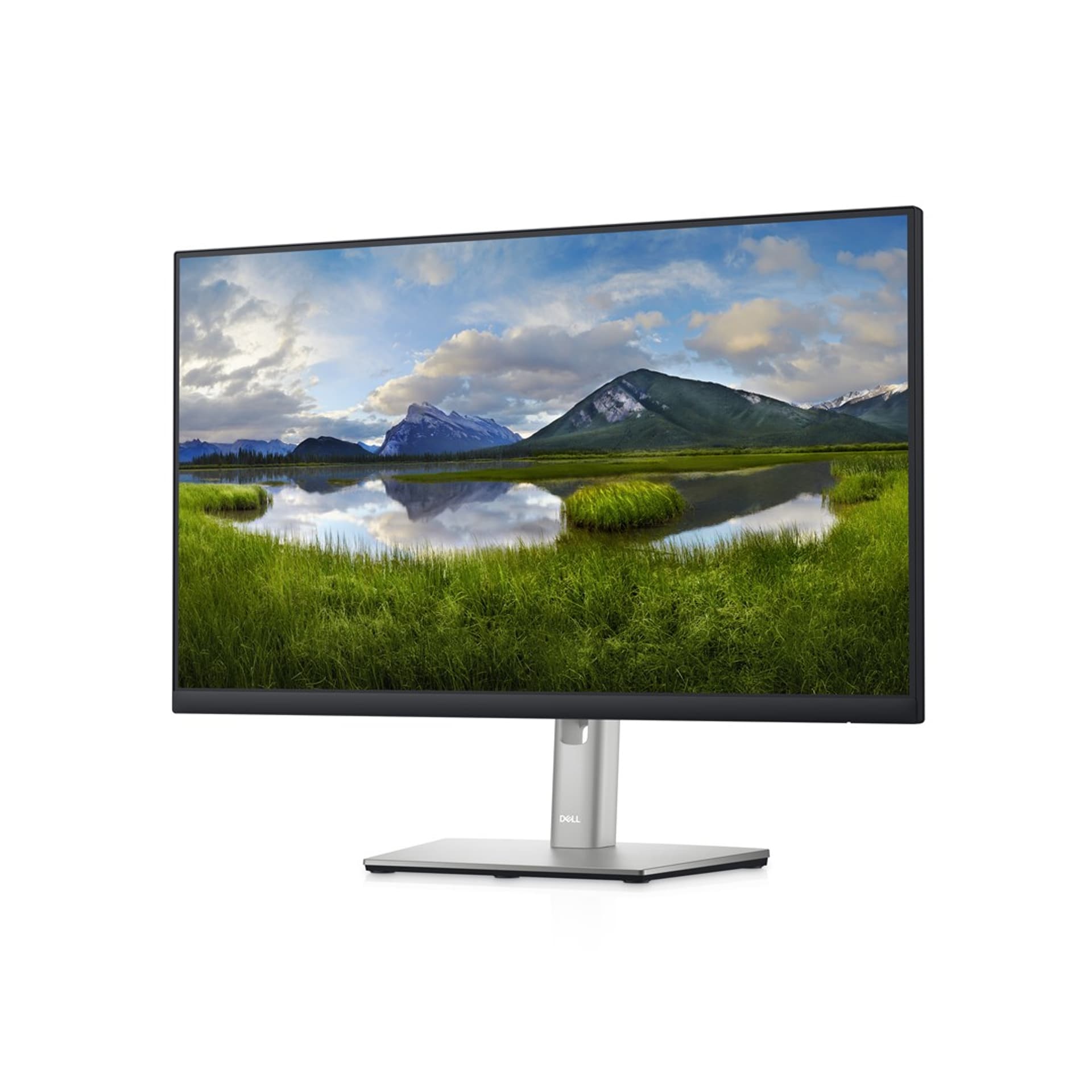 

MONITOR DELL LED 24” P2422HE