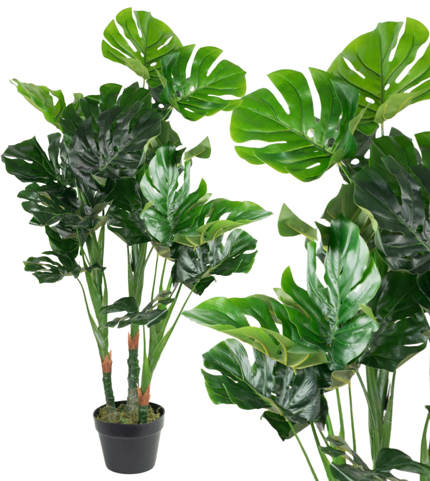 

Monstera sztuczne drzewko, 100 cm