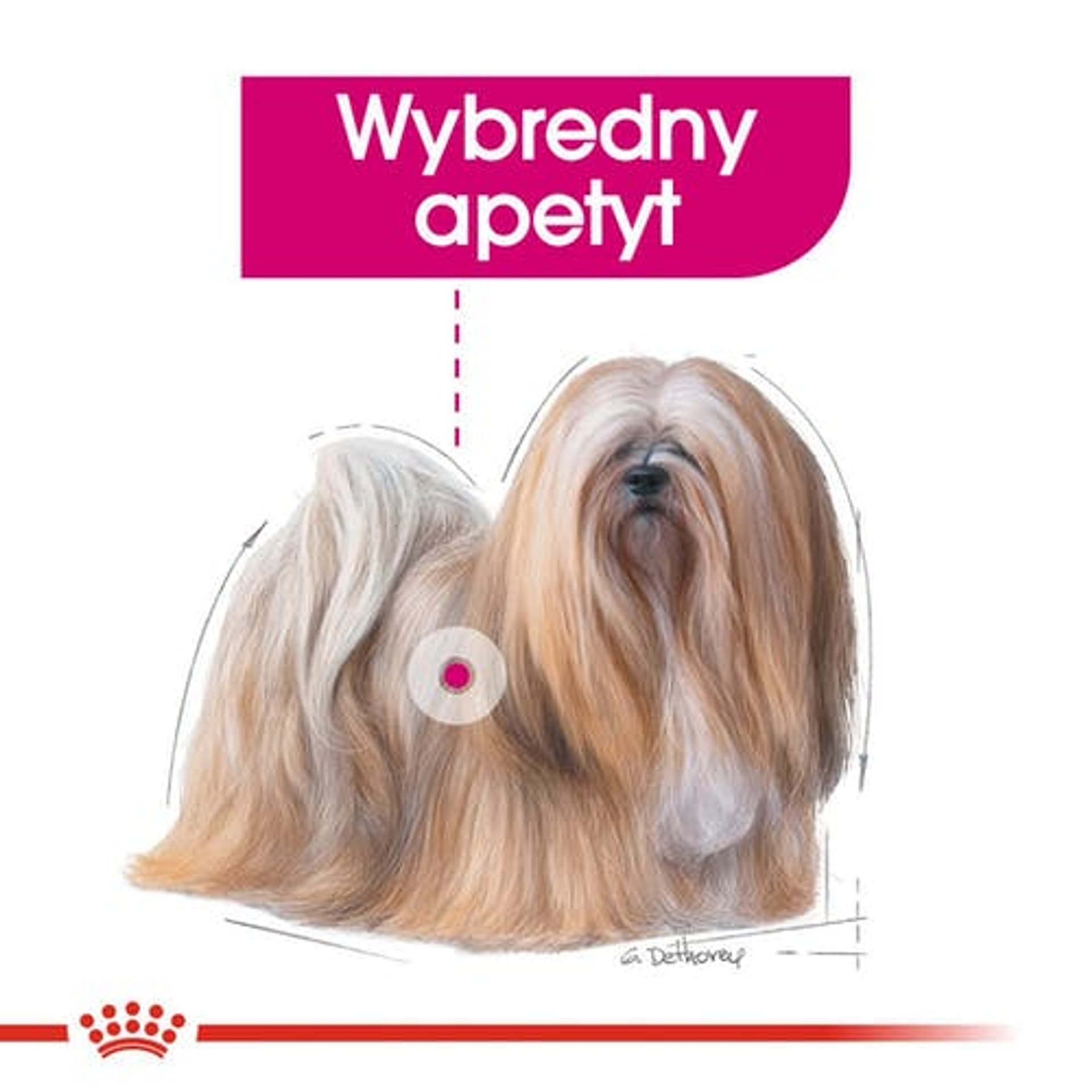 

Royal Canin Exigent karma mokra dla wybrednych psów dorosłych, wszystkich ras, pasztet saszetka 85g