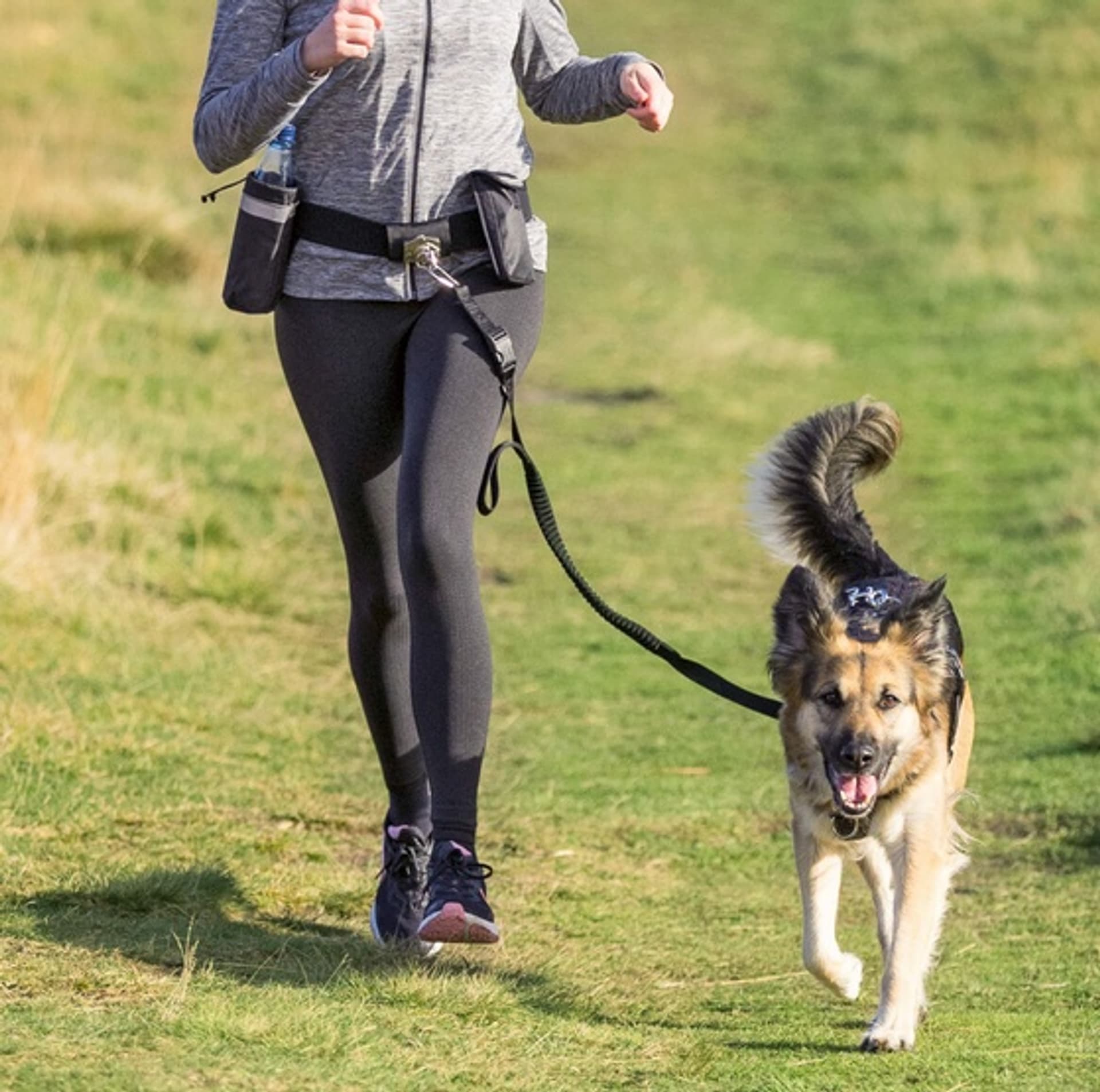 

Trixie Pas biodrowy i Smycz Hands Free - zestaw do dogtrekkingu [TX-1275]