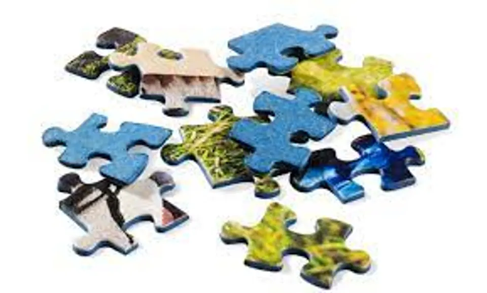 Jigsaw puzzle