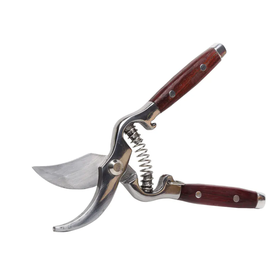 Secateurs