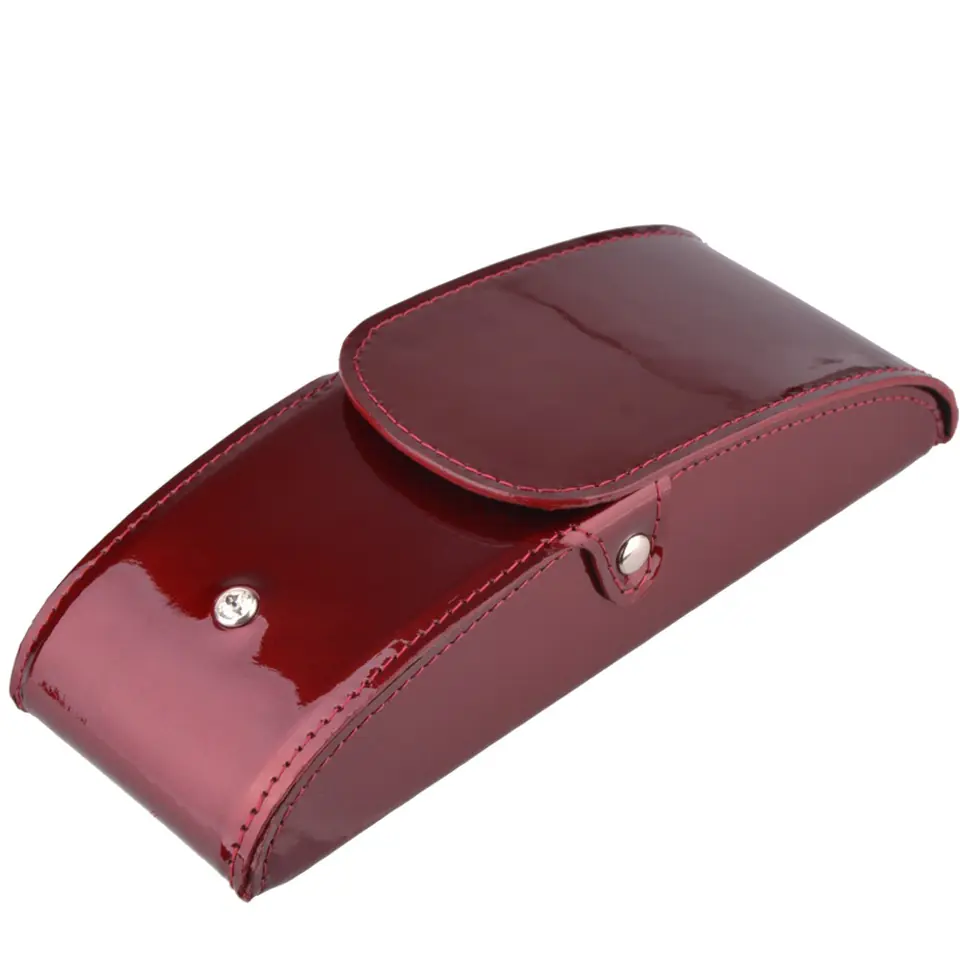 Glasses case