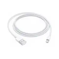 Apple Cables and Adapters for iPhone