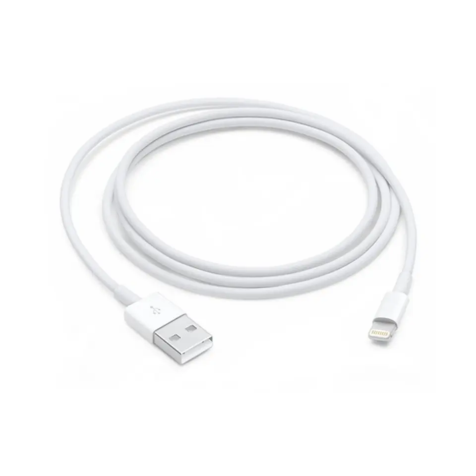 Apple Cables and Adapters for iPhone