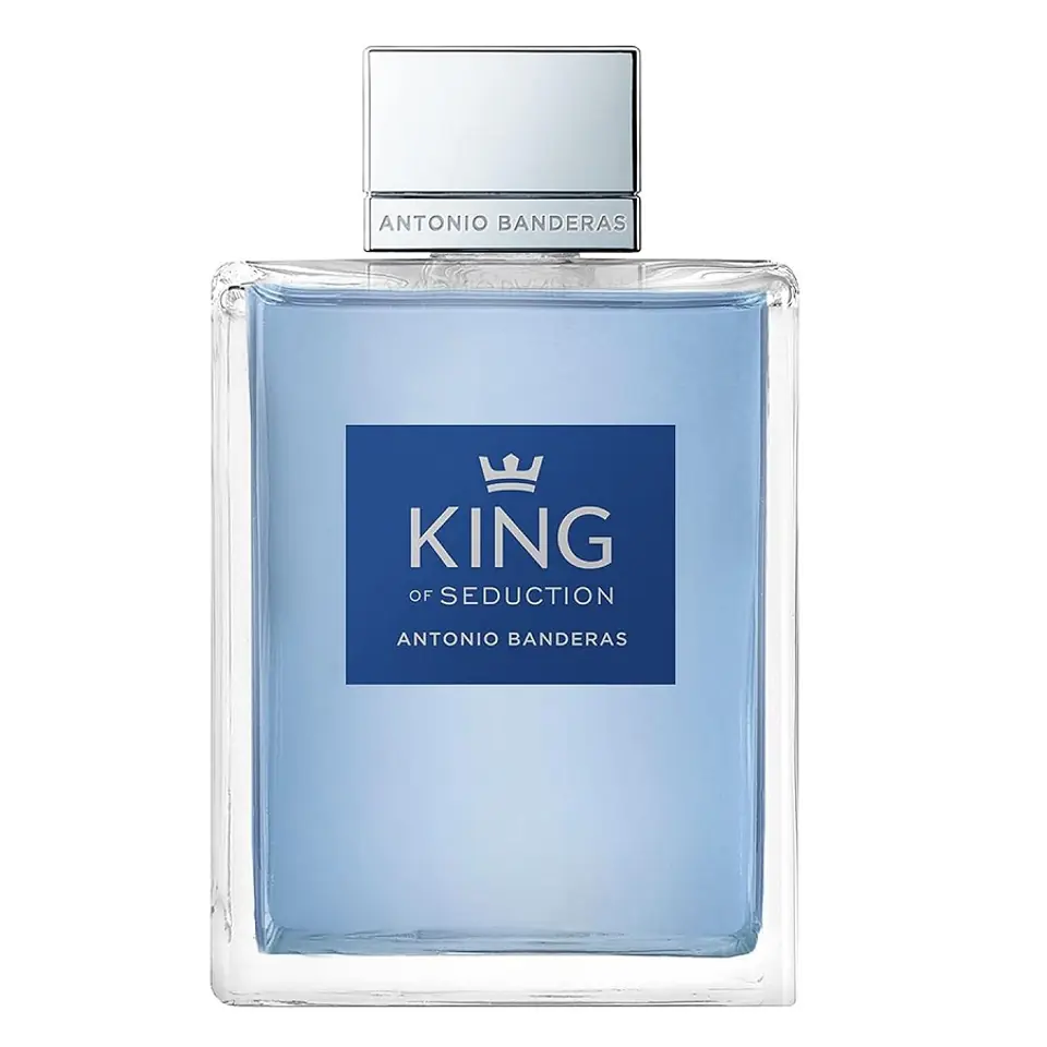 King antonio banderas sale