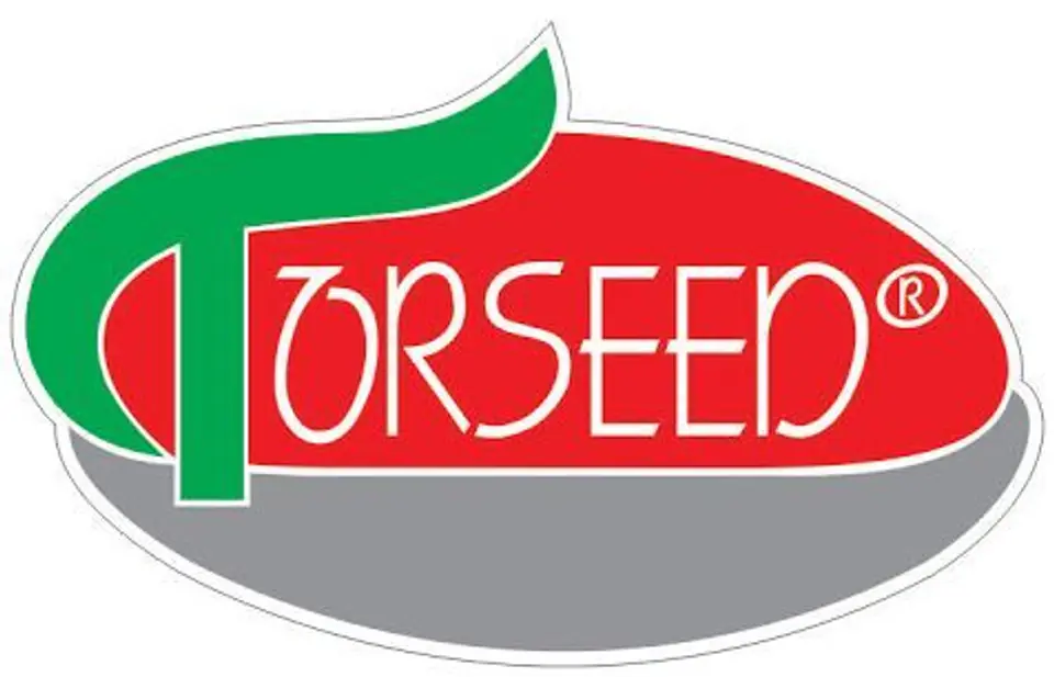 Torseed