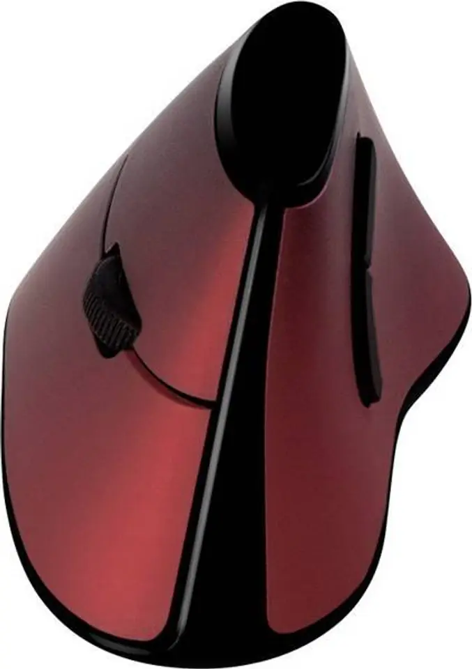 ⁨Ergonomic Vertical Mouse USB 2.4GHz⁩ at Wasserman.eu