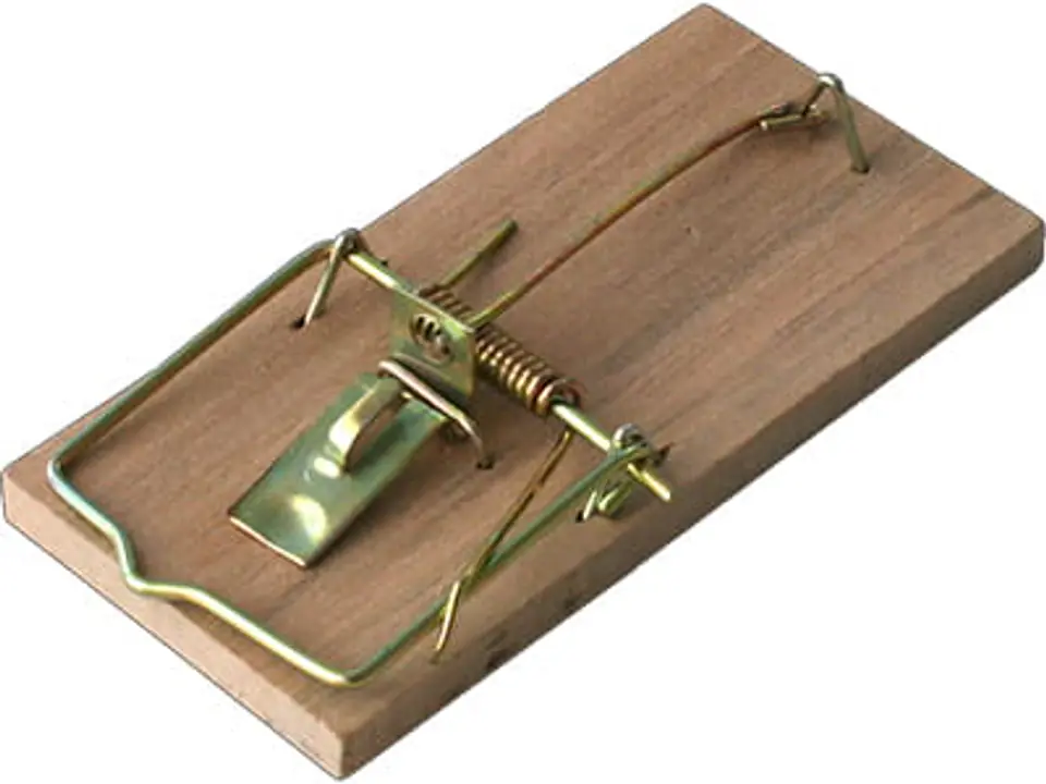 Wooden mousetrap BROS Bros for mice at Wasserman.eu