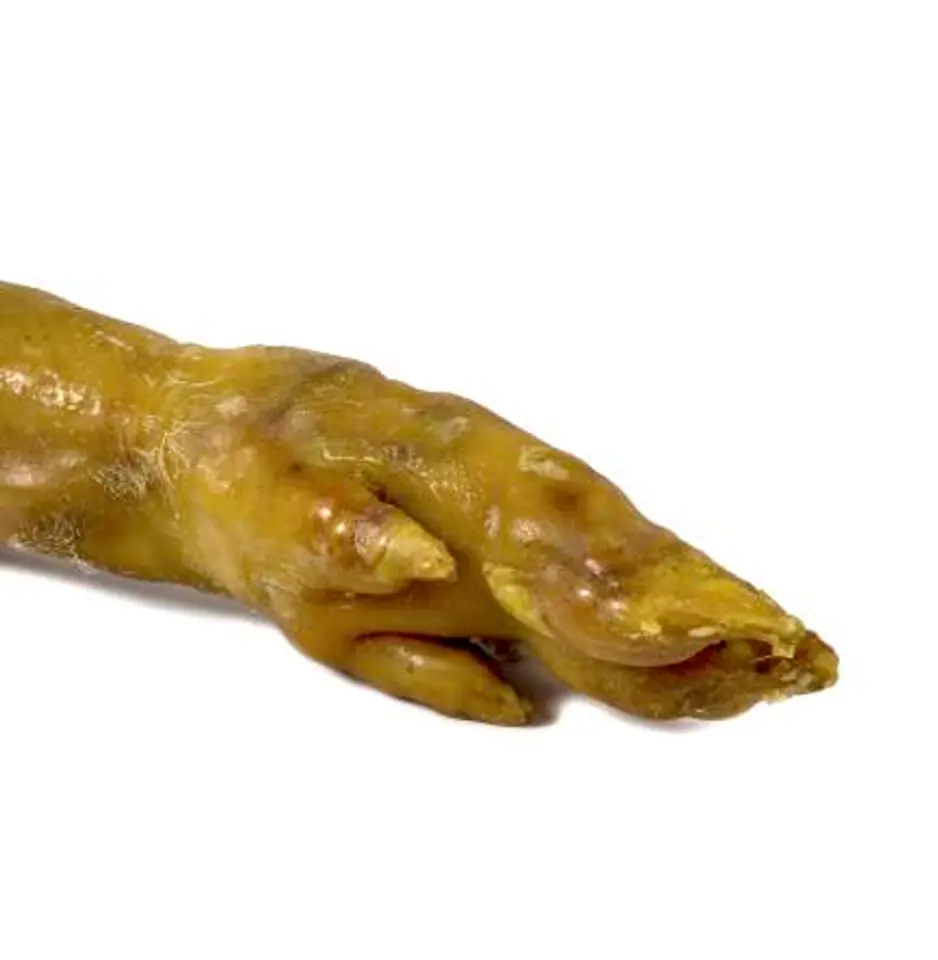 HAMBONES Noga wieprzowa 1szt 300g w sklepie Wasserman.eu