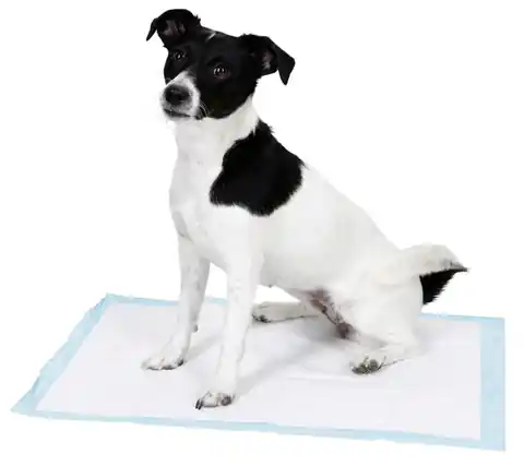 ⁨KERBL Trainingsmatte zum Pinkeln lernen für Hunde 60x90cm 20tlg [80741]⁩ im Wasserman.eu