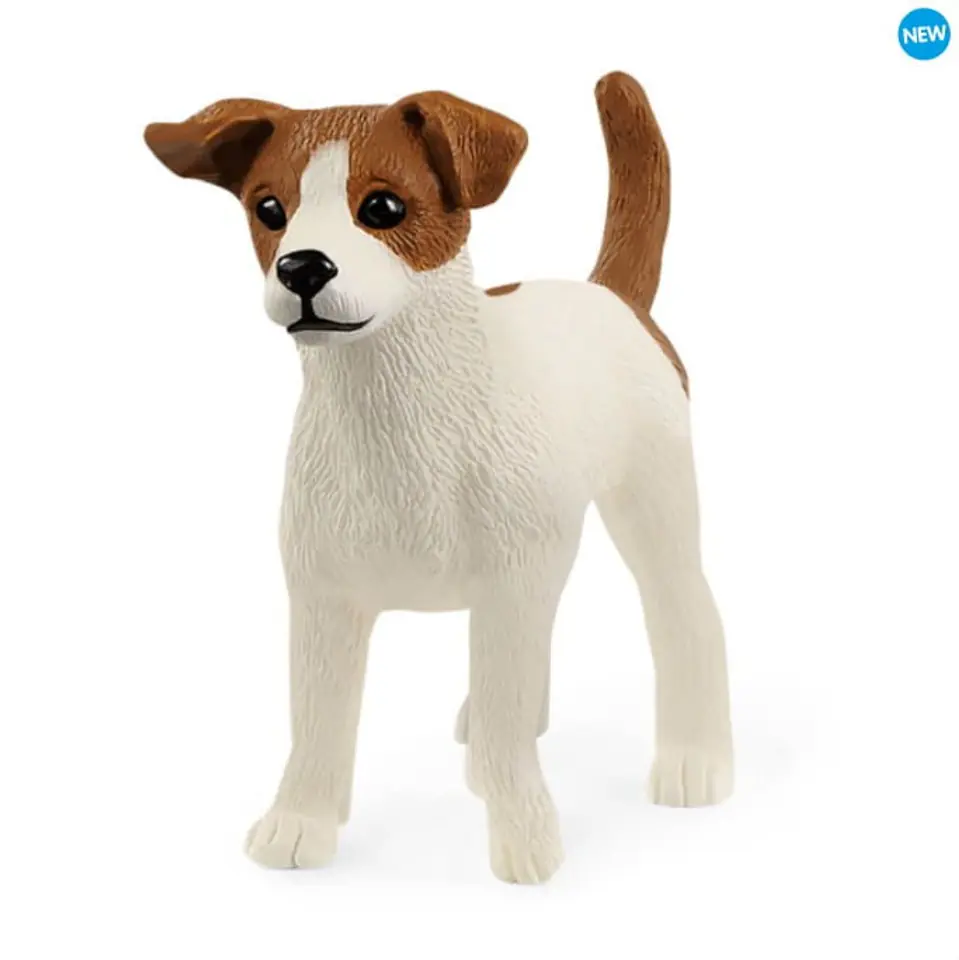 ⁨Jack Russell Terrier⁩ at Wasserman.eu