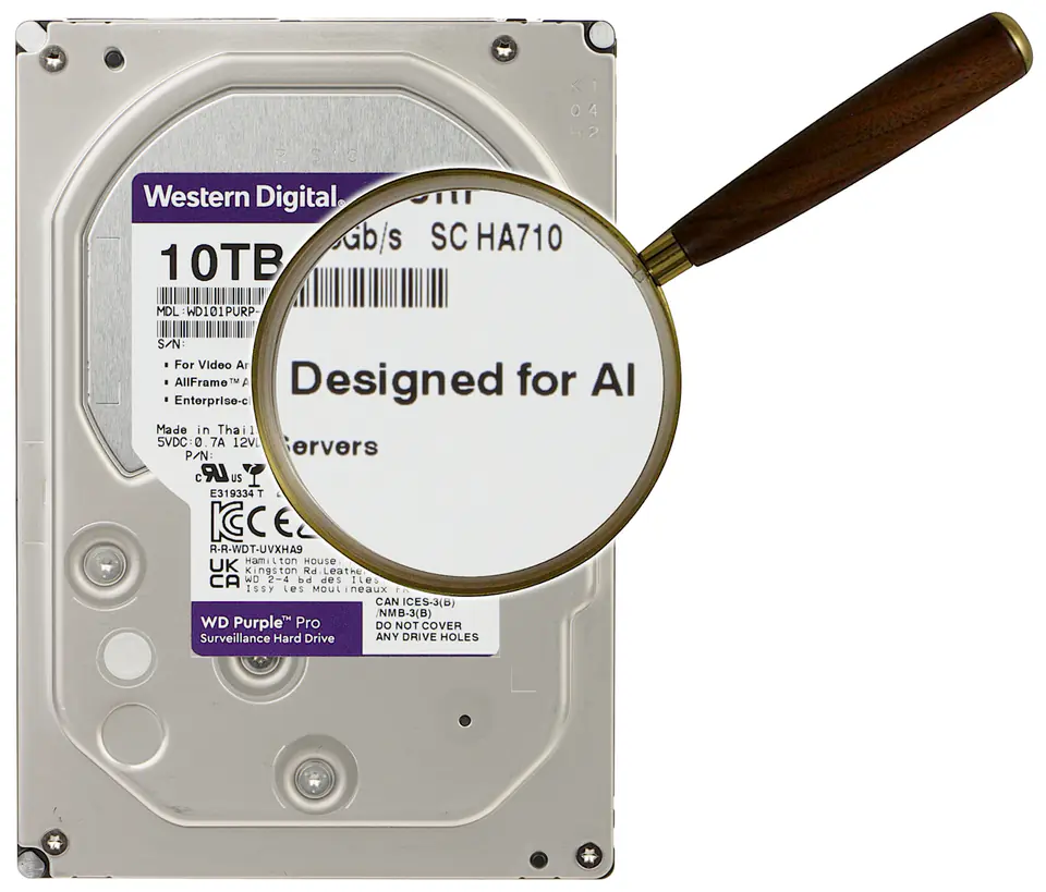 DRIVE FOR HDD-WD101PURP 10TB 24/7 WESTERN DIGITAL at Wasserman.eu