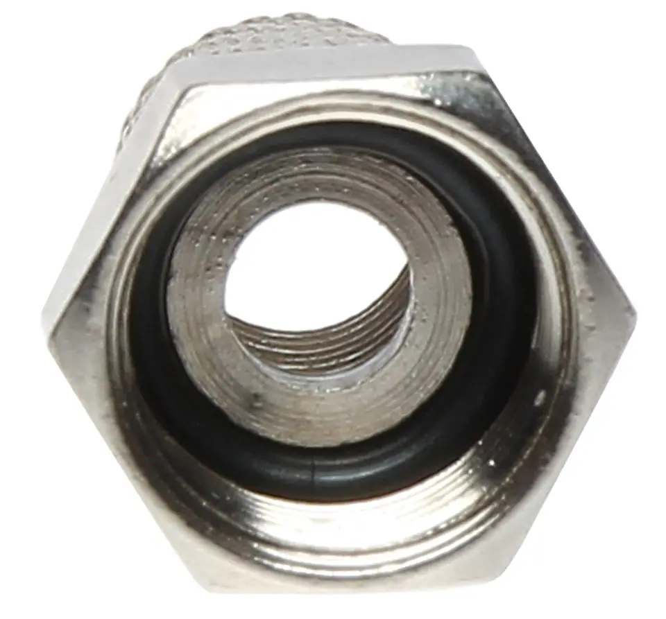 STECKER MIT GUMMIBAND F/5.9-G im Wasserman.eu