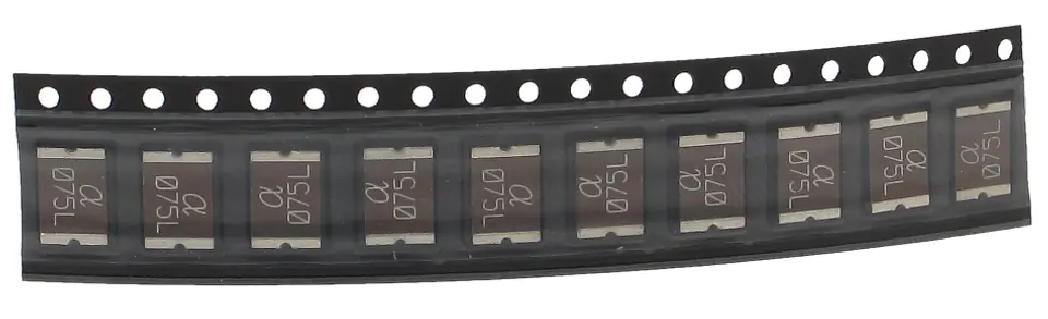 BEZPIECZNIK POLIMEROWY BPS-750*P10 w sklepie Wasserman.eu