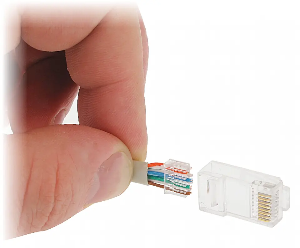 RJ45/6*P10 MODULAR PLUG at Wasserman.eu