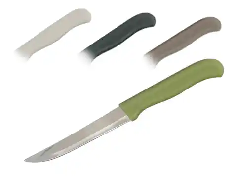⁨Kitchen knife Denis 21cm assorted colors N 8506⁩ at Wasserman.eu